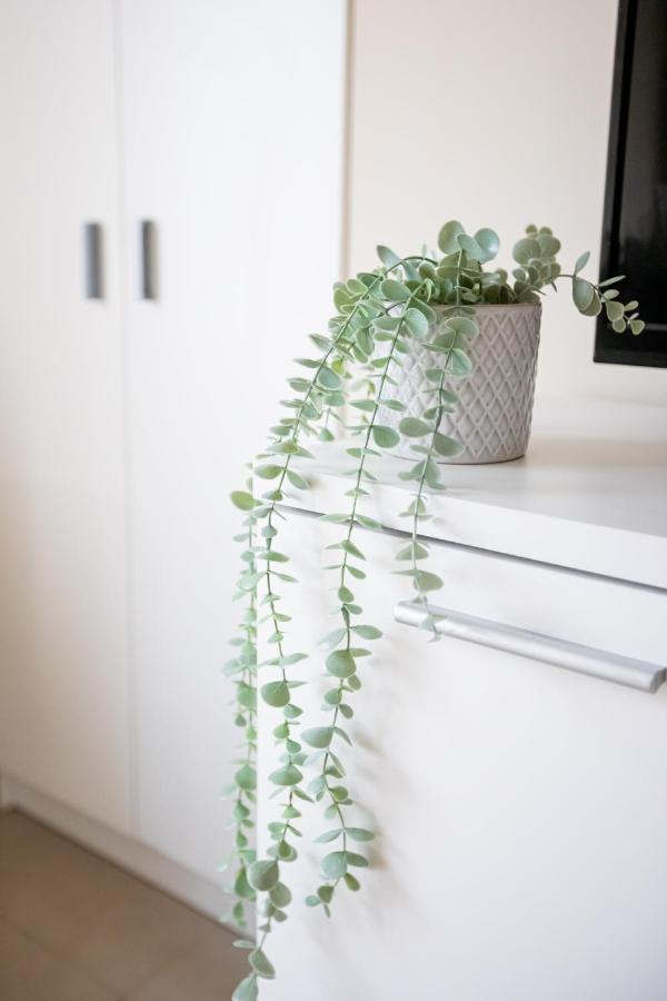 Dona Concha Alameda Apartment Seville Luaran gambar